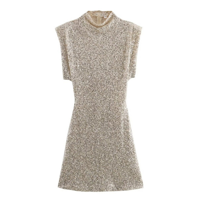 Sparkling Sequin Party Dress